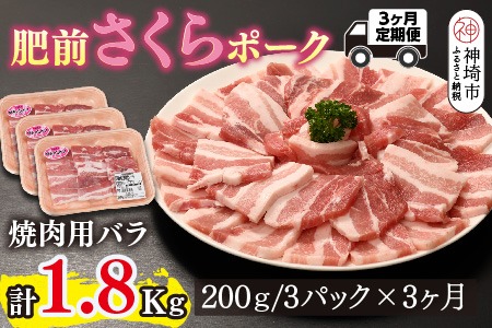 【3カ月定期便】肥前さくらポーク 焼肉用 豚バラ 計1.8kg【やわらかい 脂 甘み 豚肉 焼肉 厚さ 小分け 佐賀県 美味しい キメ細かい 柔らかい】(H123117)