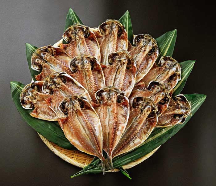 【ふるさと納税】伊豆・伊東 いろり海産 伝統の干物造り 干物セット(城あじ14枚セット)