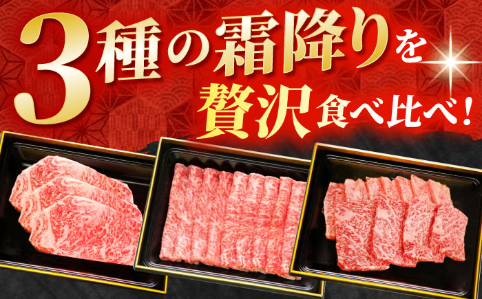 【全3回定期便】佐賀牛 プレミアム霜降り定期【田中畜産牛肉店】 [HBH025]