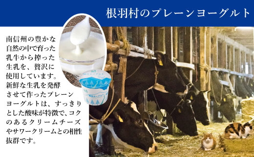 サクサククッキー生地!ヨーグルトフロマージュタルト 1箱 5号サイズ　チーズケーキ