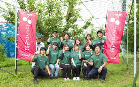 ≪2026年先行予約≫【仲野観光果樹園】山形県産 品種おまかせ 和梨 3kg(6～10 玉) 秀品 2026年8月下旬から順次発送 F2Y-5469