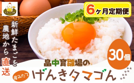 【6ヶ月定期便】畠中育雛場のげんきタマゴん 30個 6回お届けで計180個！《お申込み月の翌月から出荷開始》福岡県   卵  有限会社畠中育雛場