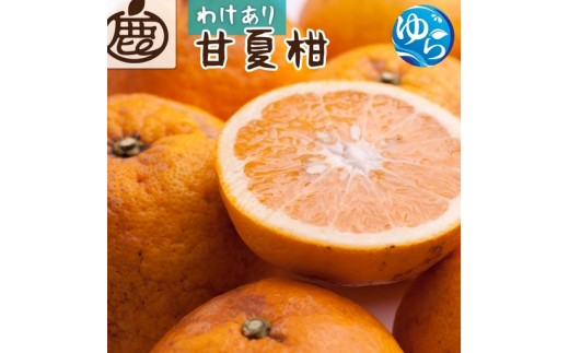 
                  甘夏柑 家庭用 10kg+250g（傷み補償分） / フルーツ 果物 くだもの 食品 人気 おすすめ 送料無料 ※2026年4月中旬～2026年6月下旬に順次発送予定 ※北海道・沖縄・離島への配送不可【ikd023-c-10C】
                
