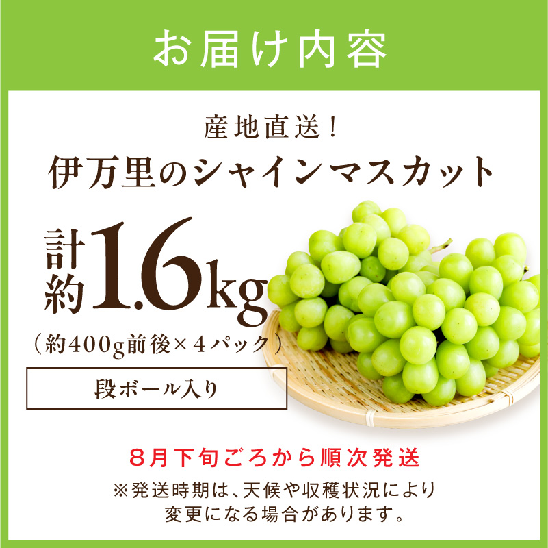 伊万里のシャインマスカット 1.6kg（400g×4P） 178-B1089_イメージ2