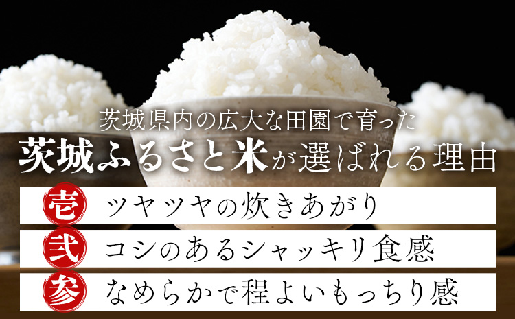 米 茨城 ふるさと米 精米 5kg 5kg×1袋《9月中旬-10月末頃出荷》茨城県 結城市 米 国産 お米 おこめ お弁当 おにぎり【茨城県共通返礼品】---yuki_local_19_5kg---