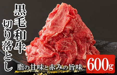 鹿児島尾崎牧場産黒毛和牛切り落とし約600g（300g×2P） 自家牧場産 黒毛和牛 切り落とし【A-1553H】