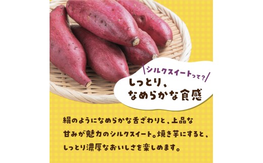 【訳あり】洗いさつまいも(無選別) 10kg 茨城県ひたちなか市産  |  訳あり 採れたて 新物 シルクスイート しるくすいーと・SS～Lサイズ混合 さつまいも 茨城県 サツマイモ 生芋 ほくほく 