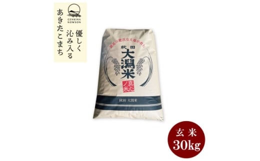 予約受付開始!秋田県産　あきたこまち30kg　1等　玄米＜令和7年産＞《11月初旬より発送》【1519384】