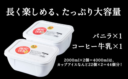 【業務用】稚内牛乳アイスクリーム2000mlバニラ×コーヒー牛乳2個セット【配送不可地域：離島・沖縄県】