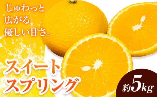 【先行予約】みかん スイートスプリング 5kg 高橋商店《11月下旬-2月中旬頃出荷》熊本県 苓北町 柑橘 かんきつ 果物 フルーツ 送料無料 スイート スプリング