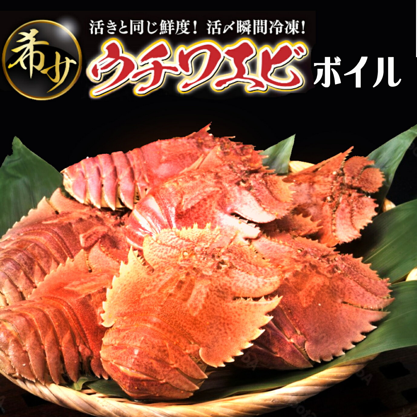 【ふるさと納税】＜数量限定＞ウチワエビ（ボイル）7匹前後 1000gセット 国産 東洋町産 天然 新鮮 海鮮 刺身 焼き ボイル 四国 お取り寄せ お祝い 記念日 贈り物 送料無料