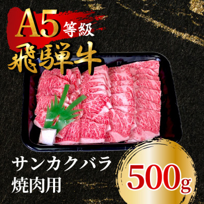 
            飛騨牛5等級 サンカクバラ焼肉用500g　FTA284【1578300】
          