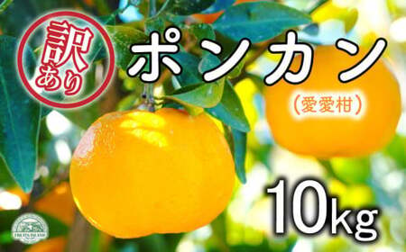 先行予約 訳あり ﾎﾟﾝｶﾝ 約10kg 愛愛柑 柑橘 蜜柑 みかん 果物 オレンジ フルーツ 糖度 国産 ブランド ジュース ゼリー ビタミン 健康 美容 不揃い 傷 ｼﾐ 愛媛県 愛南町 発送期間：2025年1月10日～2月中旬（なくなり次第終了）