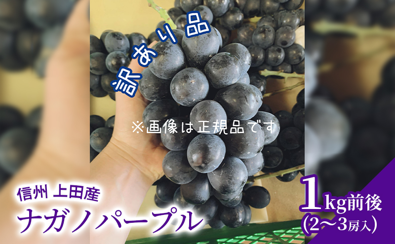 
                  訳あり ナガノパープル 1kg前後 2～3房 ぶどう 葡萄 ブドウ 長野パープル 1kg 果物 くだもの フルーツ デザート 大粒 旬の果物 旬のフルーツ 訳アリ 長野県 長野 [№5312-0813]
                