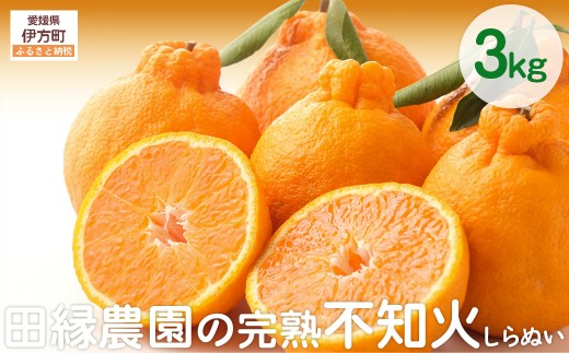 【先行予約】【数量限定】田縁農園の完熟不知火（しらぬい）3kg ※離島への配送不可 （2027年3月20日より順次発送） 【 ふるさと納税 人気 おすすめ ランキング みかん ミカン 蜜柑 不知火 しらぬい フルーツ 果物 愛媛県産 田縁農園 愛媛県 伊方町 送料無料 】 IKTA019
