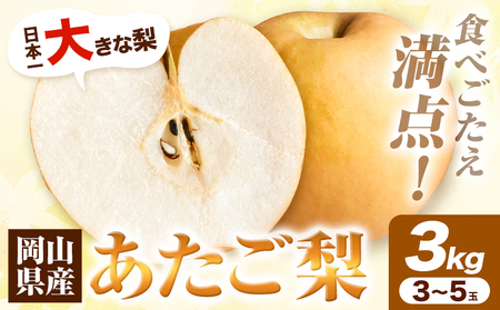 H-38a 岡山県産 あたご梨 3kg（3玉～5玉） 令和7年度産先行受付《11月下旬‐12月中旬頃出荷》