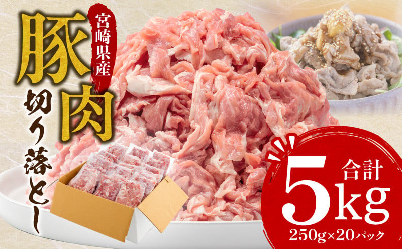 
                  宮崎県産豚切り落とし 合計5kg 人気 オススメ 豚肉 切り落とし 切り落し 切落し 豚切り落とし 国産豚 国産豚肉 5kg 真空パック 250g 20パック セット 小分け パック 便利 おかず お弁当  使いやすい 食品 カレー シチュー しゃぶしゃぶ 豚丼 焼きそば 肉じゃが お鍋 おすすめ お取り寄せ お取り寄せグルメ 肉 お肉 国産 宮崎県産 宮崎 宮崎県 宮崎市 _M144-016
                