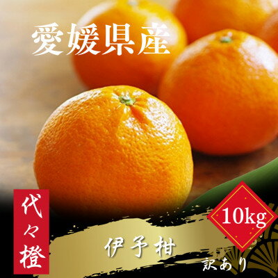 【ふるさと納税】【ジューシー果肉がいい香り♪】【訳あり】伊予柑 10kg【E83-13】【1549103】