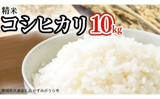 
                  令和8年産 コシヒカリ 精米 10kg (茨城県共通返礼品 かすみがうら市) 紙米袋 茨城 新米 精米 コシヒカリ お米 ごはん 直送 銘柄米 [DH020sa]
                