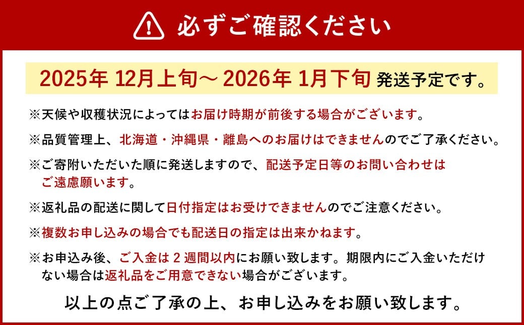 今季初採れあまおう 2パック【数量限定】
