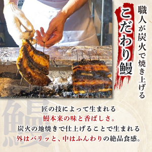 うなぎ蒲焼 2尾 ハーフカット4枚 国産うなぎ 冷凍