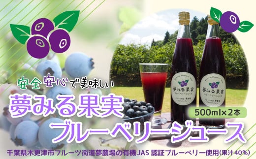 ＜有機栽培ブルーベリー使用＞夢みる果実ブルーベリージュース（果汁40％）500ml×2本 ふるさと納税 ブルーベリー ブルーベリージュース アントシアニン 千葉県 木更津市 送料無料 KAA001
