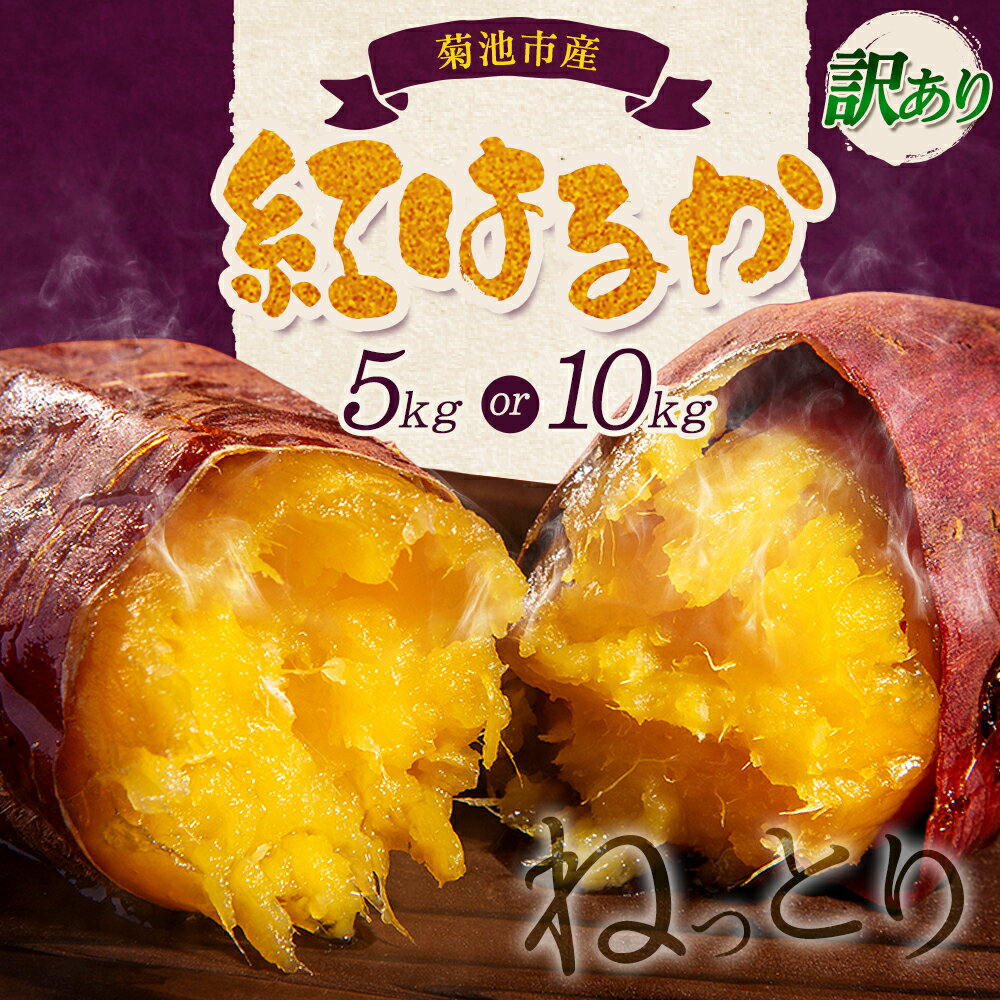 【ふるさと納税】訳あり 紅はるか 選べる内容量 約5kg 約10kg 2S〜3L混合 株式会社Foody’s 《90日以内に発送予定（土日祝を除く）》熊本県 菊池市 訳あり さつまいも 芋 紅蜜芋 焼き芋 野菜 菊池市産 熊本県産 九州産