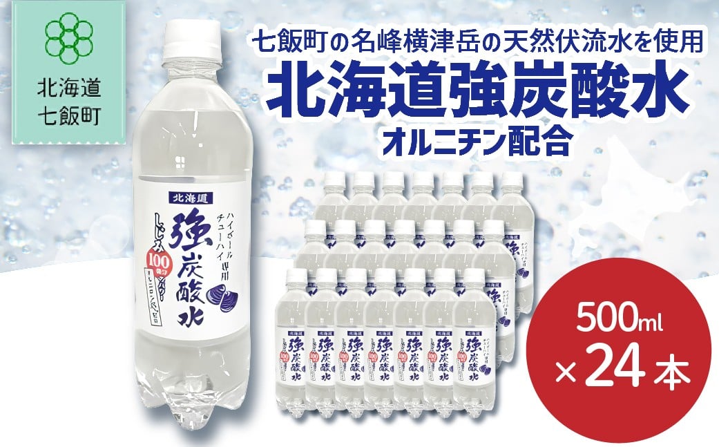 
            【先行予約】【2026年1月20日より順次発送】北海道強炭酸水（オルニチン配合）（500mlペットボトル） 【 ふるさと納税 人気 おすすめ ランキング 強炭酸水 オルニチン 北海道代表 ご当地 北海道 七飯町 送料無料 】 NAQ011
          