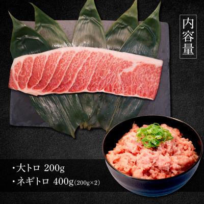 ふるさと納税 土佐市 本鮪　大トロ200g、ネギトロ200g×2P