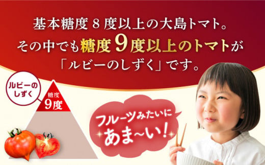 トマト 高糖度 【2025年収穫分先行予約】【2回 定期便 】糖度9度以上！ 大島 トマト 特選「 ルビーのしずく 」約1.2kg  西海市産 トマト とまと 訳あり トマト 大島トマト 甘いトマト 
