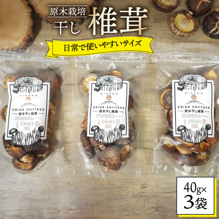 【ふるさと納税】宮崎県産 乾燥 椎茸 40g×3袋 チャック袋入 [ HUTTE 宮崎県 美郷町 31ao0012-NEW] 干ししいたけ 出汁 オーガニック 原木栽培 有機JAS認証 料理 調理 小分け 常温 渡川 アヒージョ 煮物 煮付け おかず おこわ 鍋 みそ汁 炒め物 うどん そば スープ パスタ
