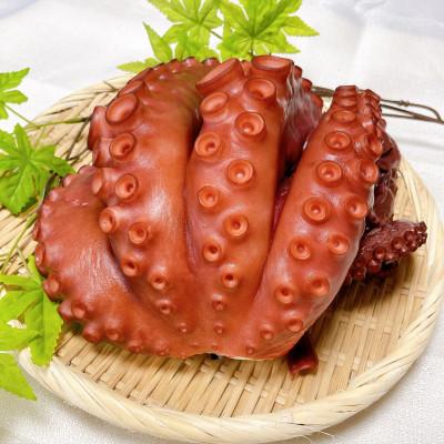 ふるさと納税 鹿嶋市 茨城県 鹿島だこ 700g〜800g |  | 01