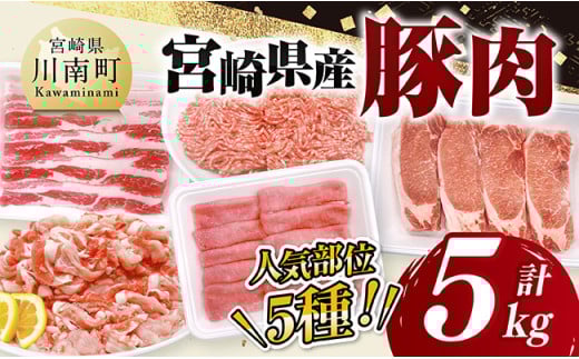 宮崎県産豚肉5種　5kg 【 豚肉 ぶた肉 肉 ロース バラ 切り落とし ミンチ 豚肉セット 】