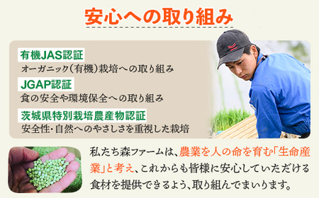 摘みたて！便利な小分け！冷凍いちご1kg(500g×2)_BI08