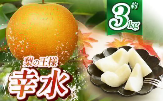 【2025年秋先行予約】 幸水 3kg | 送料無料 栃木県 下野市 梨 幸水 果物 フルーツ デザート