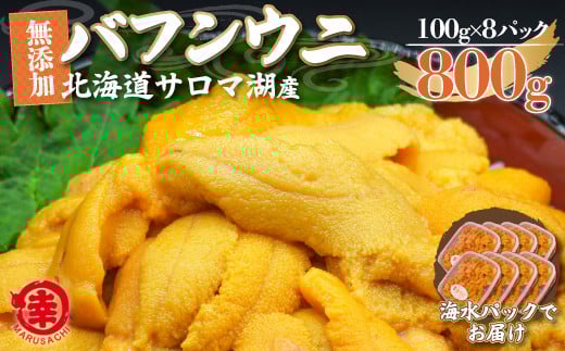 【先行予約】サロマ湖産 無添加 バフンウニ 800g（100g×8）海水パック 【 ふるさと納税 人気 おすすめ ランキング 魚介類 うに ばふんうに バフンウニ 雲丹 ウニ 海鮮丼 ウニ丼  新鮮 オホーツク 北海道 佐呂間町 送料無料 】 SRMA024