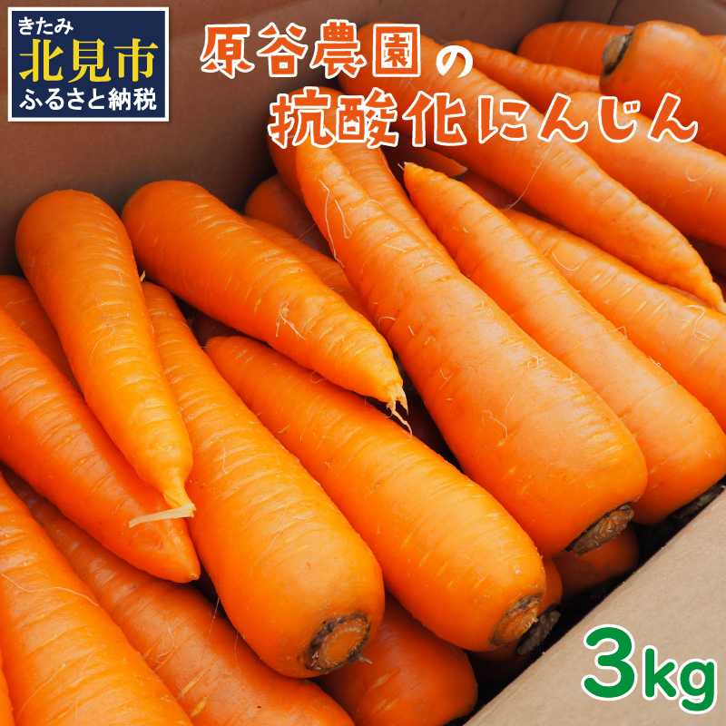 【予約：2024年8月中旬から順次発送】原谷農園の抗酸化にんじん 3kg ( 野菜 人参 農園 期間限定 ふるさと納税 )【058-0001-2024】