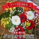 【ふるさと納税】【クリスマス・お正月 】栄光・炎の花　グロリオサの花束 中 ギフト プレゼント 贈り物 送料無料