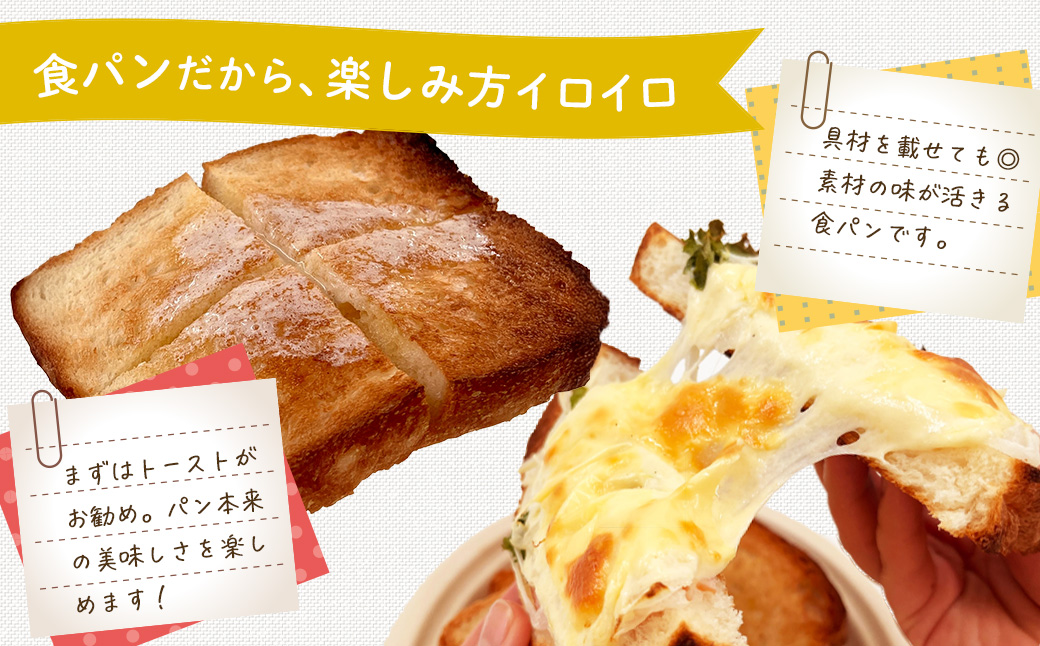 【定期便】 全3回 丹沢ベーカリの食パン２斤　（6枚切り）| パン ぱん ブレッド ベーカリ 丹沢 詰合せ こだわり ストック 冷凍 無添加 お取り寄せ 贅沢 朝食 国産 小麦 名水 おいしい 素材 