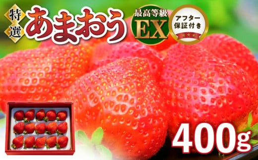 
                  【2026年11月より順次発送】特選あまおう　400g_数量限定 いちご エクセレント 厳選 あまおう 400g 特別栽培 EX 認定農家 大きい うるう農園 福岡県 久留米市 採れたて 農家直送 フルーツ 果物 冷蔵 贈答用 一粒 丁寧な梱包 贈り物 お歳暮 お取り寄せ 送料無料_Fi006
                