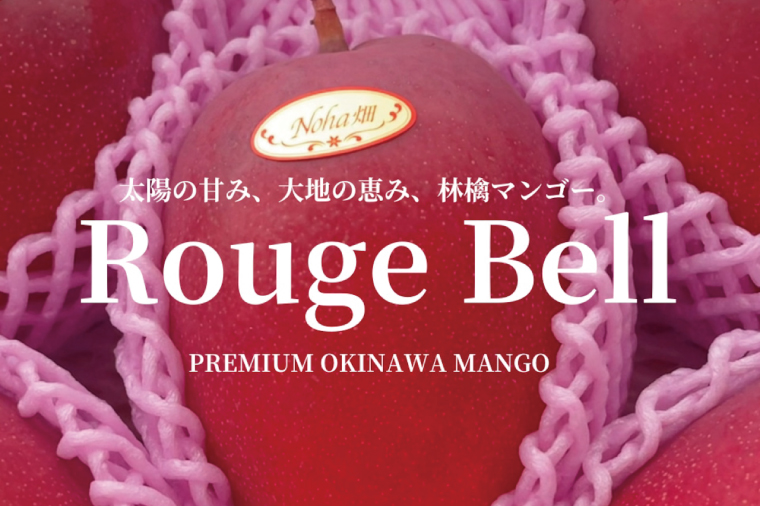 【2026年6月下旬より順次発送】【Rouge Bell】アップルマンゴー 約800g以上(2玉)｜マンゴー アップルマンゴー フルーツ 果物 くだもの 先行予約 贈り物 プレゼント お土産 ギフト 
