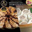 【ふるさと納税】【プレミアムブランド】鹿児島県産黒毛和牛「小田牛」 牛肉100%点心セット（餃子・焼売 計40個セット） 総菜 おかず ぎょうざ ギョーザ 焼売 シュウマイ 小田畜産 国産牛肉 黒毛和牛 冷凍 南さつま市 贈り物 贈答用 送料無料 のし対応