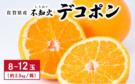 [先行予約] 佐賀産 デコポン8〜12玉(約2.5kg箱)／ふるさと納税 佐賀 フルーツ濃厚 甘い 酸味 大町 贈答 ギフト 贈り物