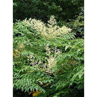 ふるさと納税 高野町 熊野古道　峠の蜂蜜2本セット(高野町) |  | 02