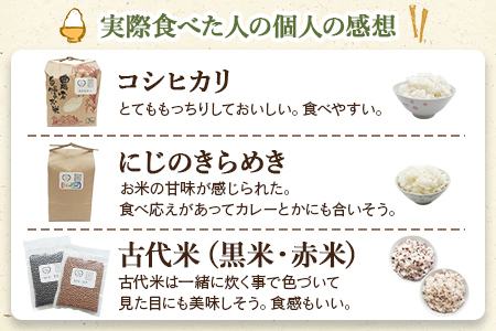 ＜古代米も入った！やまこのうえんのお米 4種類食べ比べセット 合計5.3kg＞ お米 コメ ご飯 ライス 穀物 こしひかり コシヒカリ にじのきらめき 古代米 黒米 赤米 食べ比べ 特産品 やまこのう