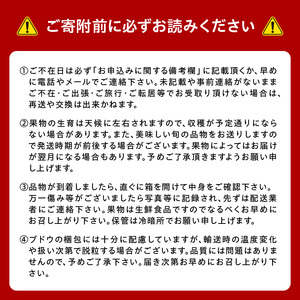 限定セット！！　旬の味覚　2025年フルーツ定期便Ｂ_T002-2025