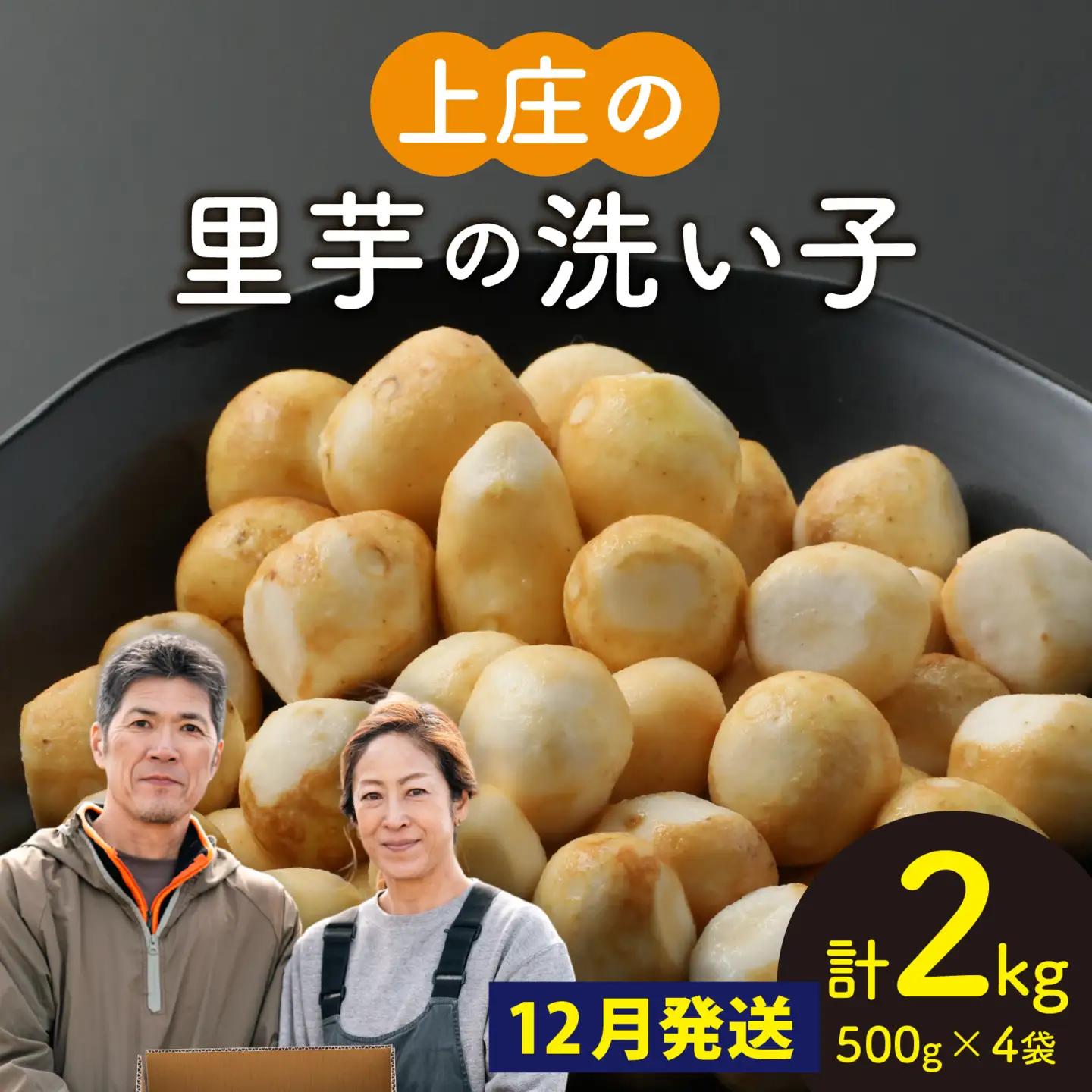 【先行予約】【12月発送】上庄の里芋の洗い子【冷凍】計2kg 里芋