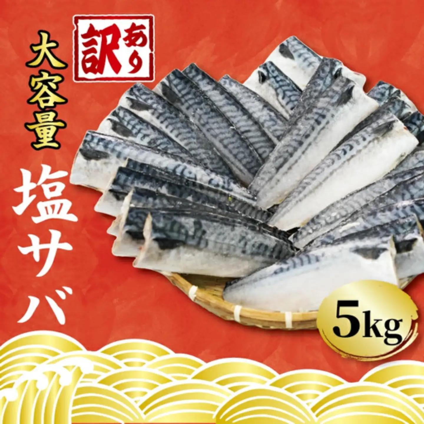 鯖 訳あり 5kg 塩鯖