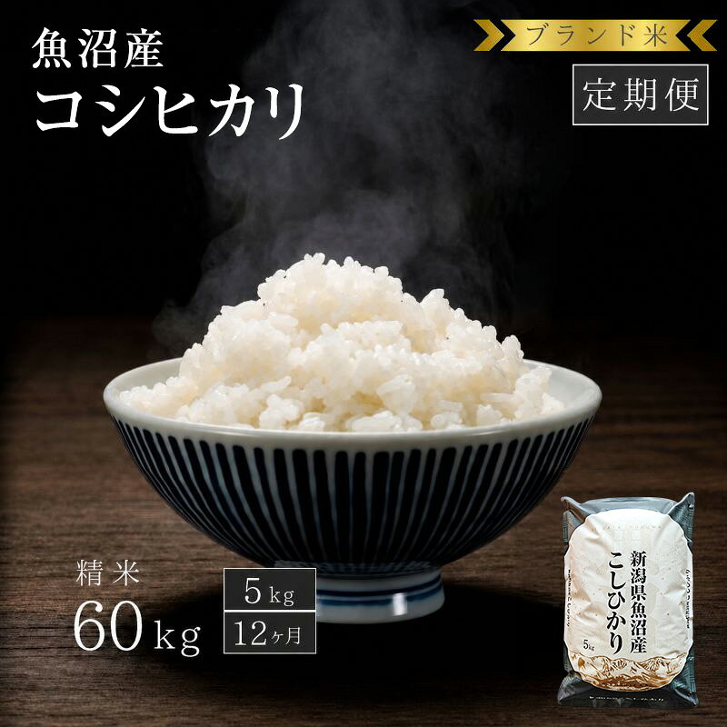 【ふるさと納税】【定期便：精米5kg×12ヶ月】ブランド米 魚沼産コシヒカリ 米 コメ こめ お米 おこめ 白米 こしひかり 新潟県産 人気 お取り寄せ　お届け：寄附入金確認後の翌月より発送