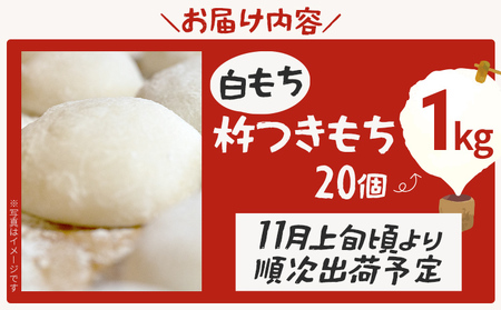 白もち 杵つきもち 20個 1kg  11月上旬頃より順次出荷予定 自家製米 ひよくもち米 杵つき 丸餅 お雑煮 おしるこ 焼き餅 焼きもち ぜんざい 福岡県 福岡 九州 グルメ お取り寄せ
